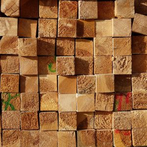 Scandinavian Spruce Studs(15 panels)