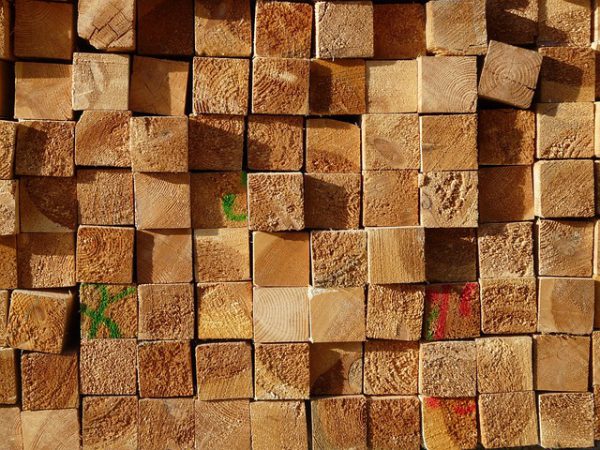 Scandinavian Spruce Studs(15 panels)