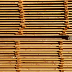 Premium Oak Planks(15 panels)