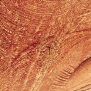 Pine Shelving Boards(15 panels)