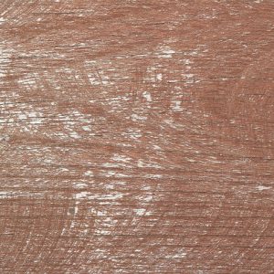 Treated Fence Posts(15 panels)