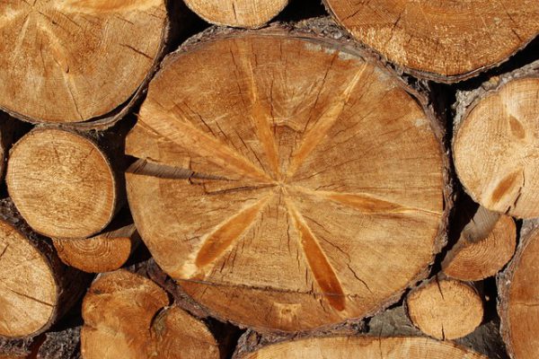 Spruce Plywood(15 panels)