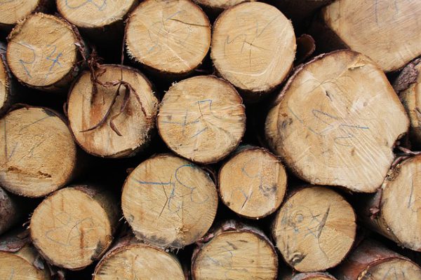 Siberian Larch Cladding(15 panels)