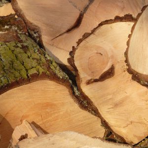 Western Red Cedar Cladding(15 panels)